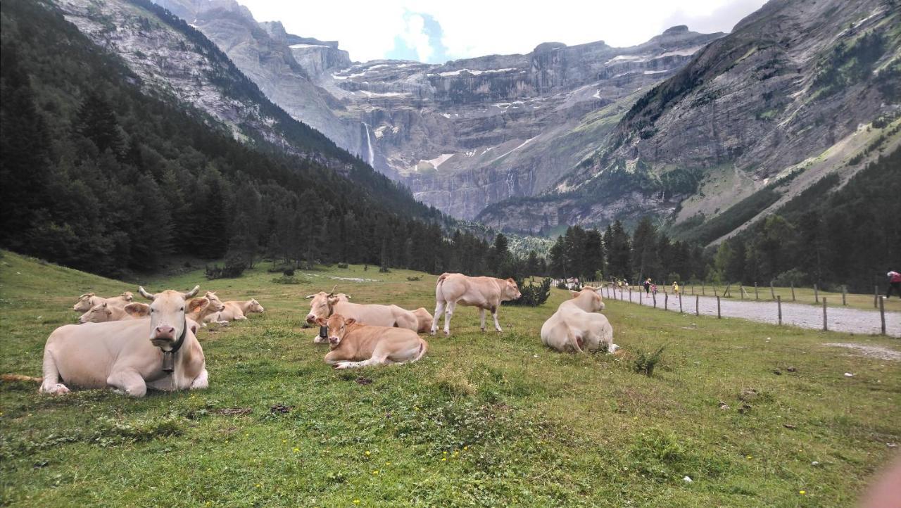 Studio En Pleine Montagne Avec Vue Sur Marmottes La Mongie Esterno foto