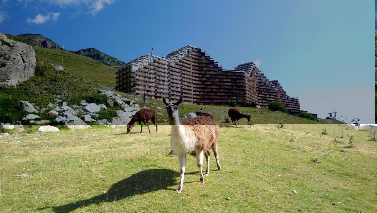 Studio En Pleine Montagne Avec Vue Sur Marmottes La Mongie Esterno foto